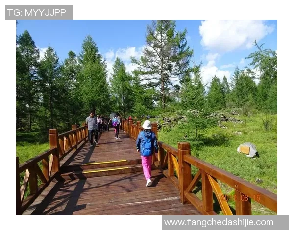 《BGM足球球星:从绿茵场到音乐舞台的传奇跨界之旅》 《BGM足球球星:从绿茵场到音乐舞台的传奇跨界之旅》